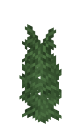 Раскидистый папоротник.png